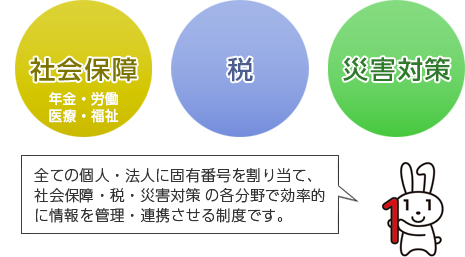 全ての個人・法人に固有番号を割り当て、社会保障・税・災害対策の各分野で効率的に情報を管理・連携させる制度です。