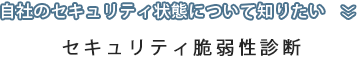 セキュリティ脆弱性診断